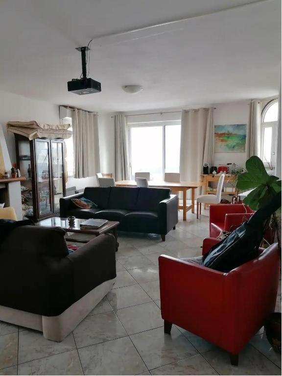 אלגהרו Seahorse B&B מראה חיצוני תמונה